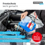 748 Alfa Scheiben Frostschutz PREMIUM