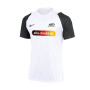 Hochwertiges Deutschlandtrikot in Alfa Design